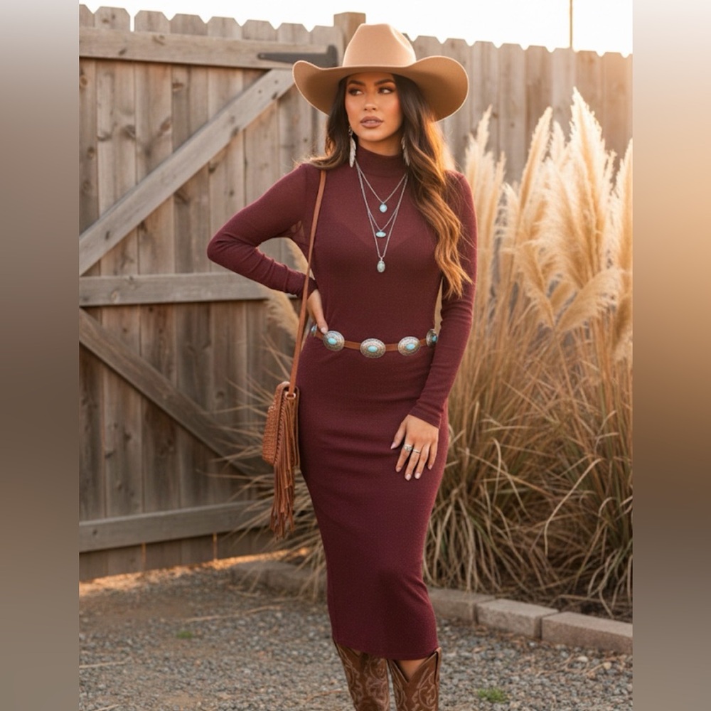 Elegant maroon  Long Sleeve Dress